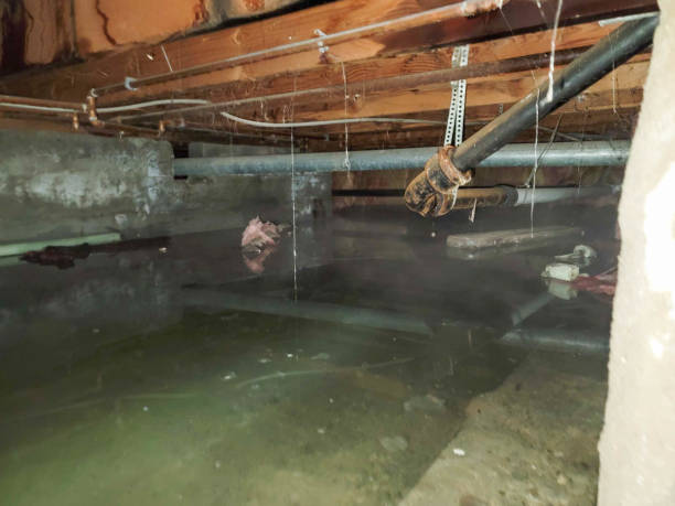 Water damage restoration insurance claims in PA