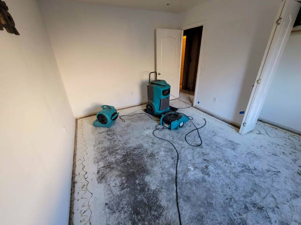 Best Flood restoration services  in Bressler, PA