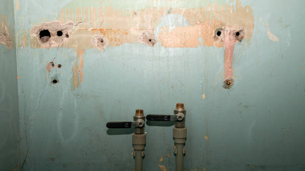 Best Flood damage cleanup  in Bressler, PA