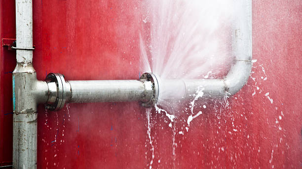 Best Professional water damage repair  in Bressler, PA